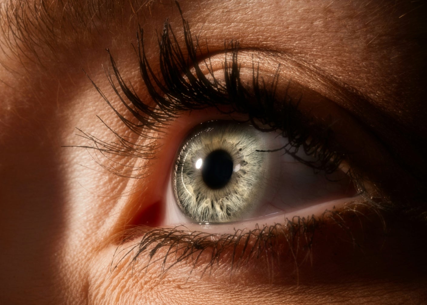 Image from singularityhub.com